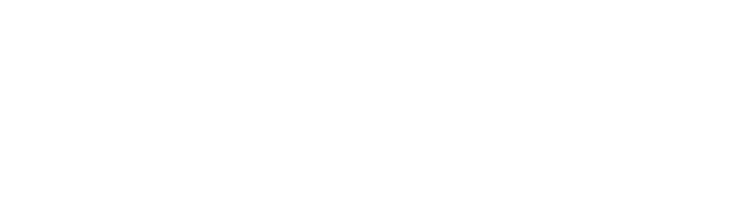 Bridgid Logo