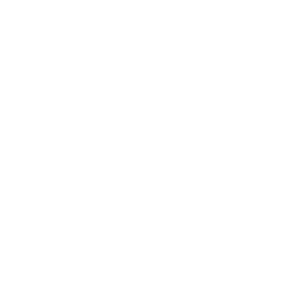 WYO Logo